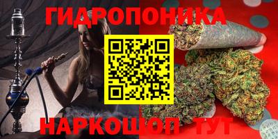 ПСИЛОЦИБИНОВЫЕ ГРИБЫ Новоалександровск